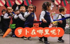 WhatsApp Image 2024-10-30 at 6.18.40 PM